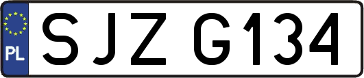 SJZG134