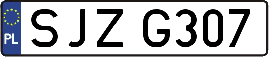 SJZG307