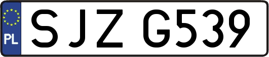 SJZG539