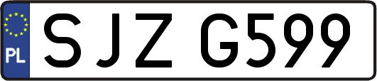 SJZG599