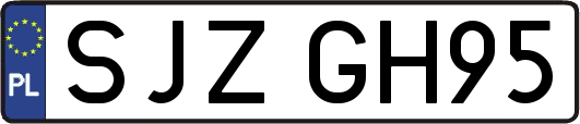 SJZGH95