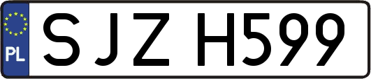SJZH599
