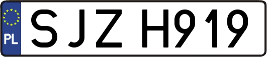 SJZH919