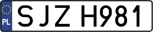 SJZH981