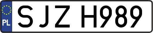 SJZH989