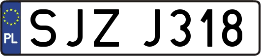 SJZJ318