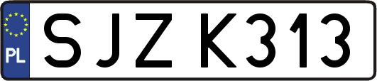 SJZK313