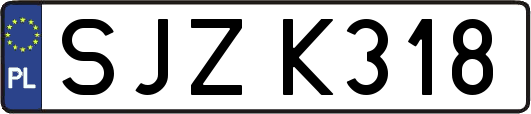 SJZK318