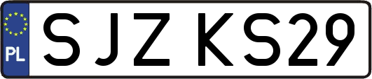 SJZKS29
