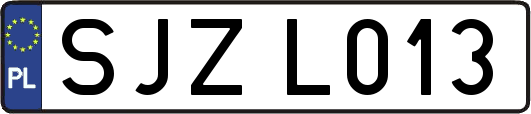 SJZL013