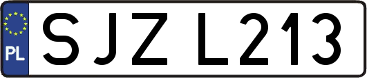 SJZL213