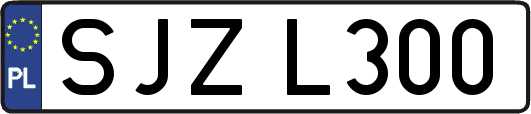 SJZL300