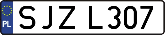 SJZL307