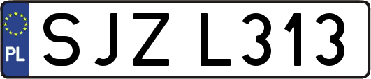 SJZL313