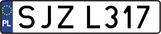 SJZL317
