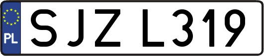 SJZL319