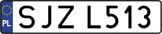 SJZL513