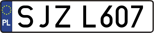 SJZL607
