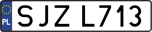 SJZL713