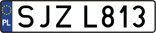 SJZL813