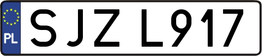 SJZL917