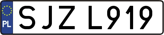 SJZL919