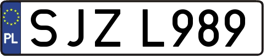 SJZL989