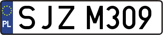 SJZM309
