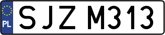 SJZM313