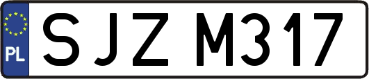 SJZM317