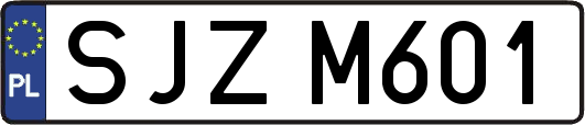 SJZM601