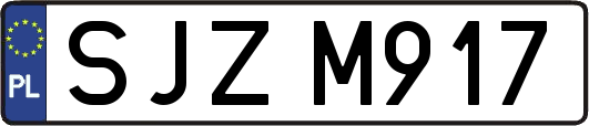 SJZM917