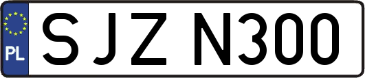 SJZN300