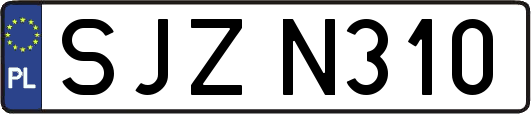 SJZN310