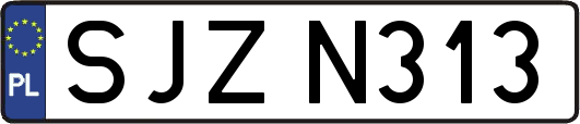 SJZN313