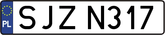SJZN317