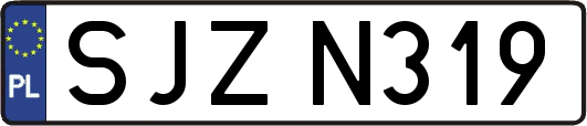 SJZN319
