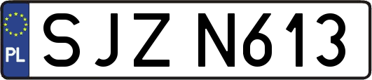 SJZN613