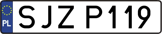 SJZP119