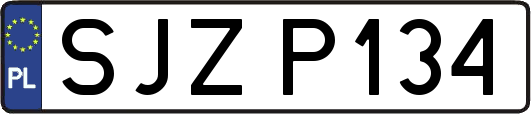 SJZP134