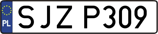 SJZP309