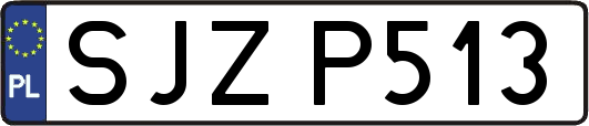 SJZP513
