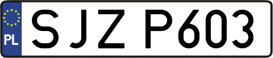 SJZP603