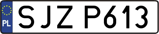 SJZP613