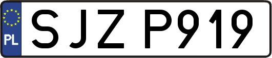 SJZP919