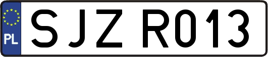 SJZR013