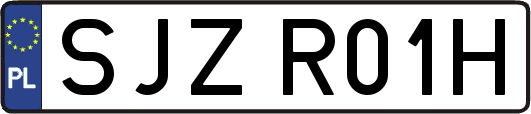 SJZR01H