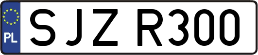 SJZR300