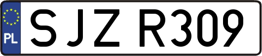 SJZR309