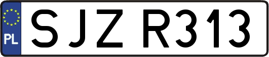 SJZR313